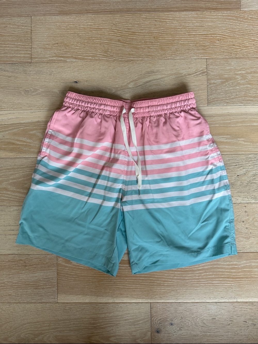 Chubbies Men's Pink & Teal Ombre Stripe Swim Trunks size Medium